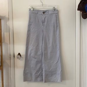 Baby Blue Everlane Wide Leg Pant